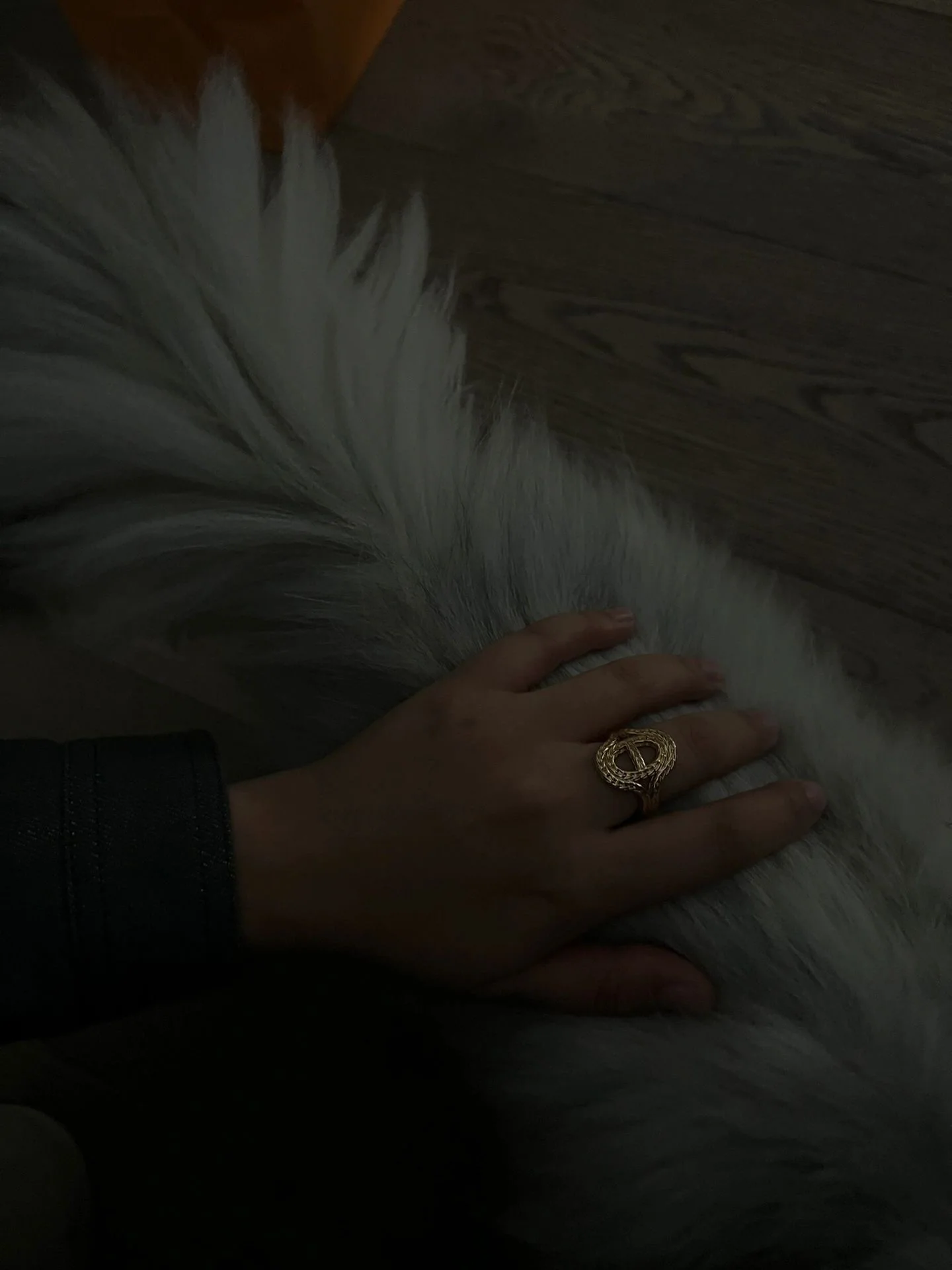 에르메스 반지 70139 Hermes Ring 상세 이미지 4