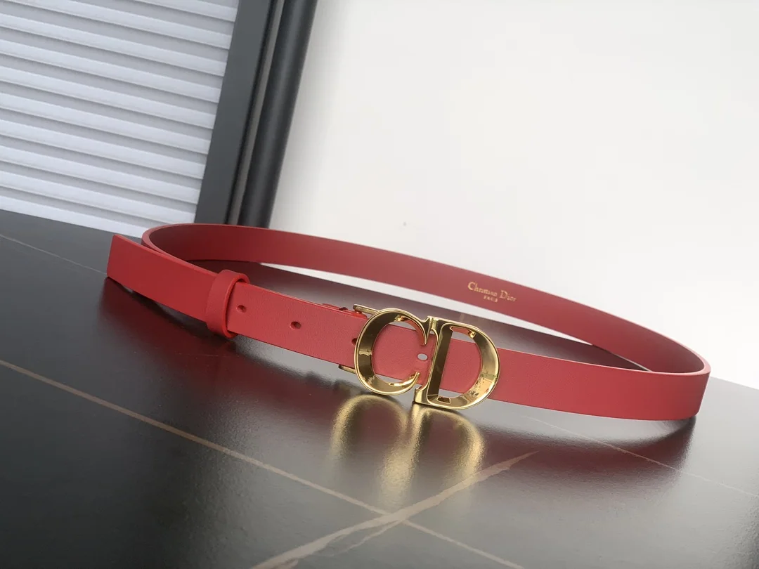디올 벨트 60064 Dior Belt 상세 이미지 2