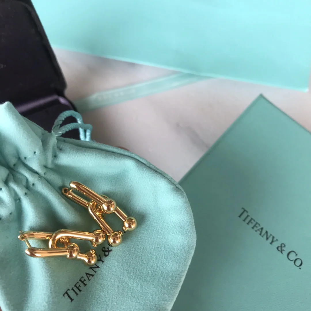티파니 귀걸이 70825 Tiffany & Co Earrings 상세 이미지 4