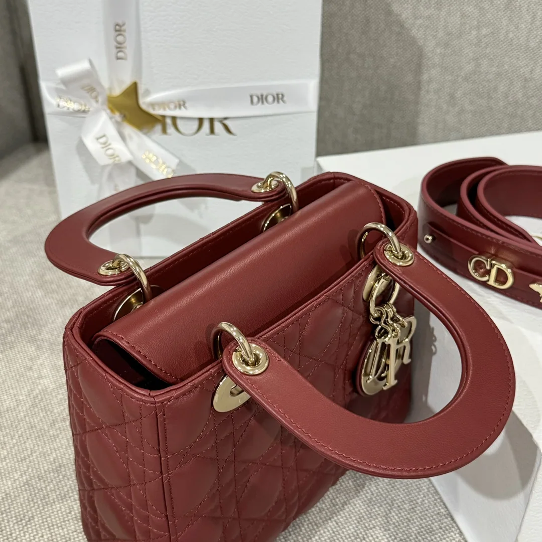 디올 CD-4 칸 램 가방 상세 이미지 9