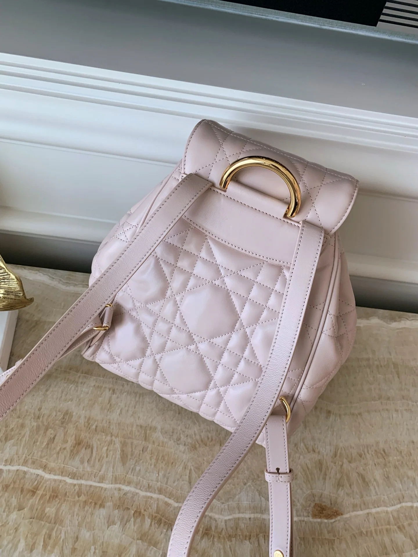 디올 카로 램스킨 백팩 상세 이미지 4