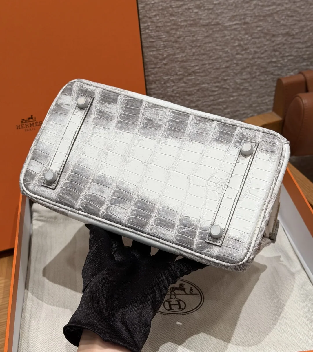에르메스 버킨 25 히말라야 나일 악어 가방 상세 이미지 5