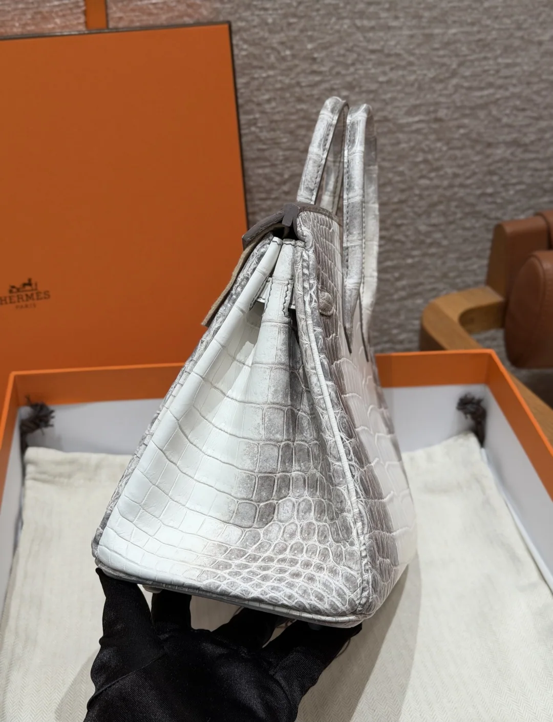 에르메스 버킨 25 히말라야 나일 악어 가방 상세 이미지 4