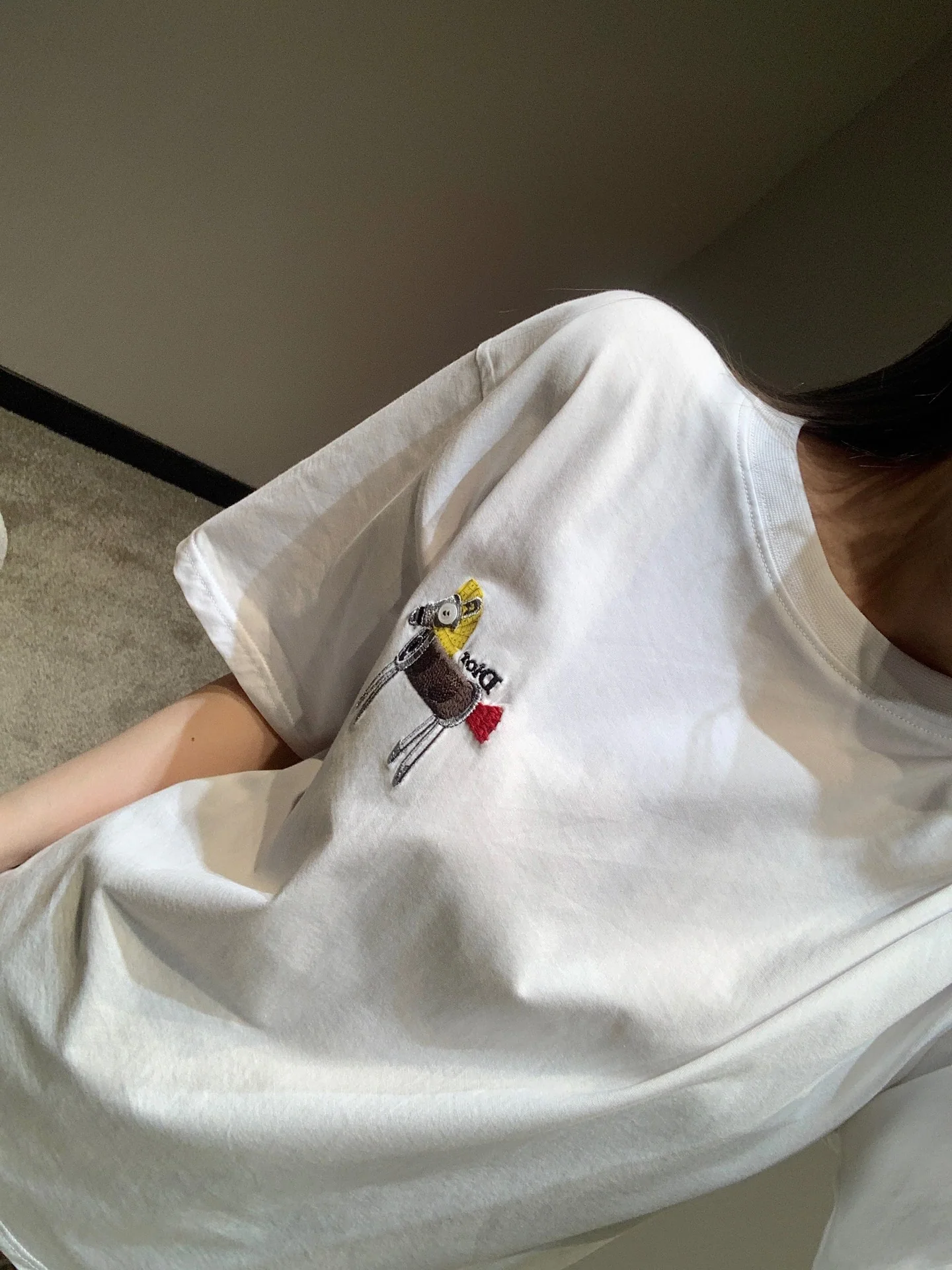 디올 포니 자수 오버사이즈 여성 반팔 티셔츠 26 SS 상세 이미지 5