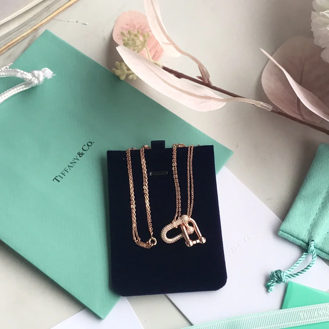 티파니 목걸이 70950 Tiffany & Co Necklace 상세 이미지 8