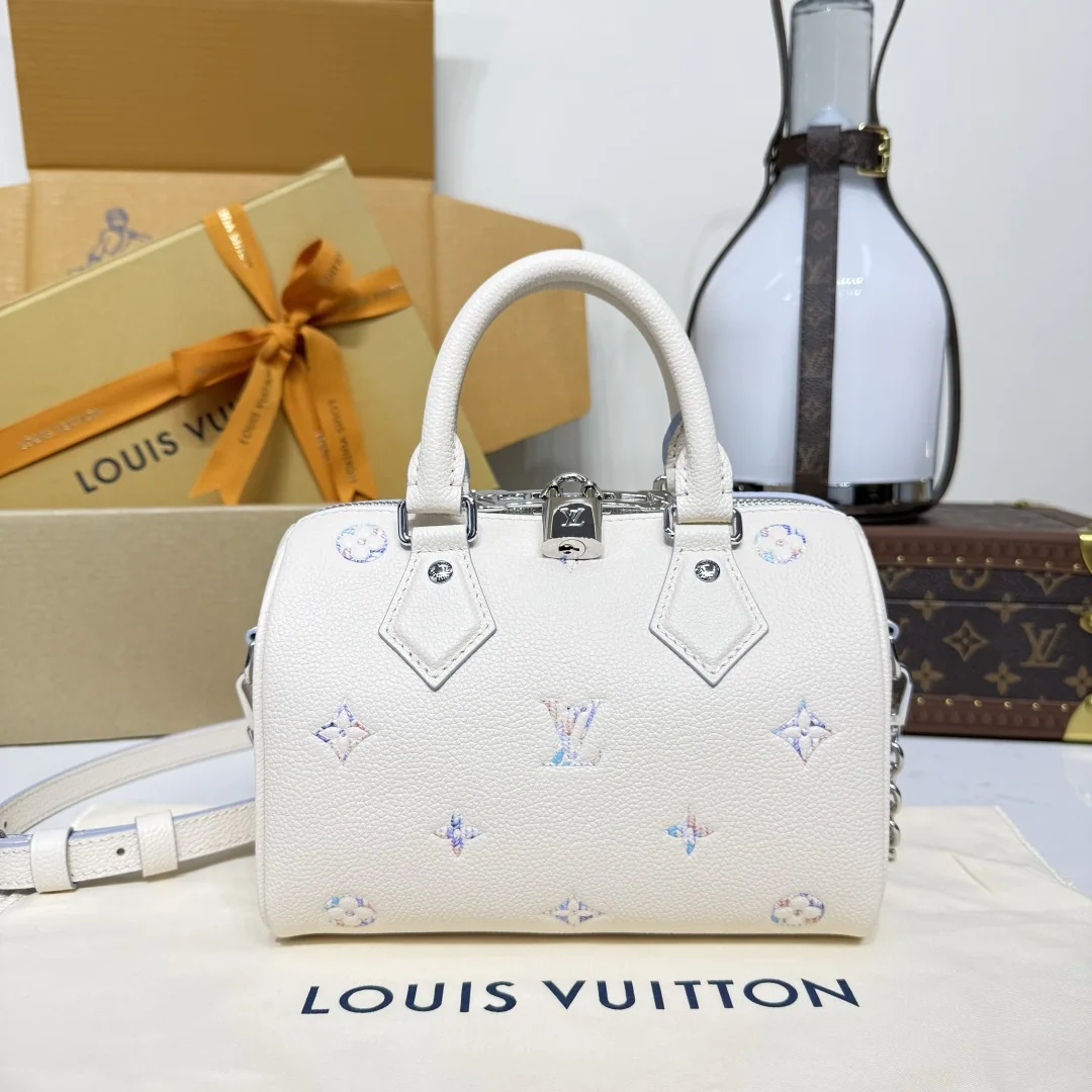 루이비통(버드케이지) 148221 가방 Louis Vuitton Bag
