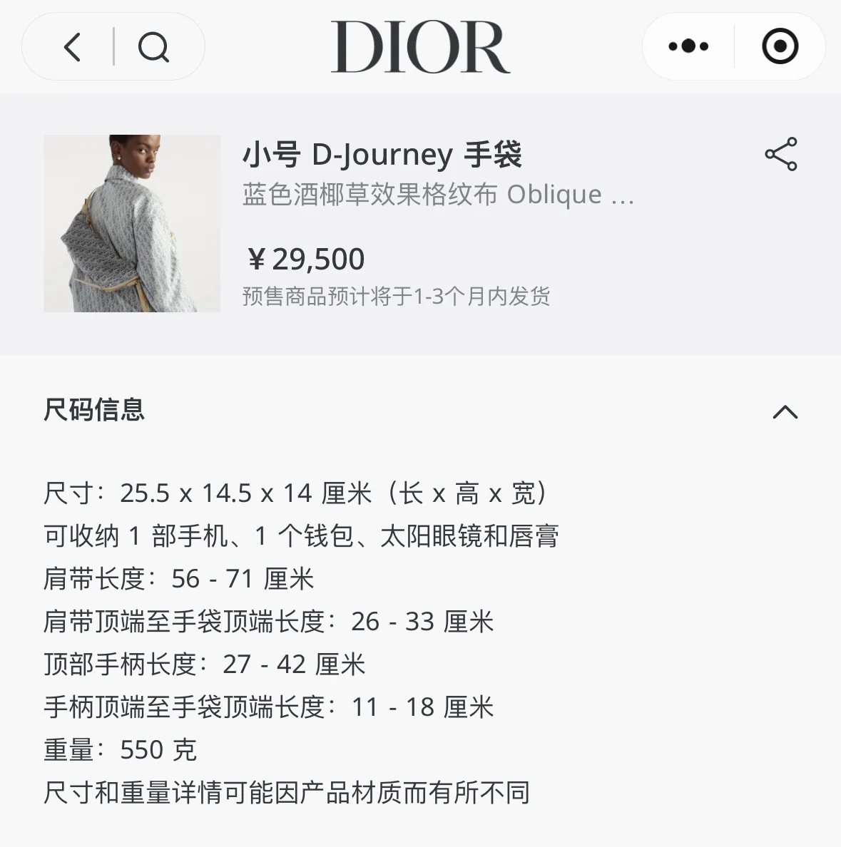 디올 코튼 데님 라피아 자수 가방 상세 이미지 5