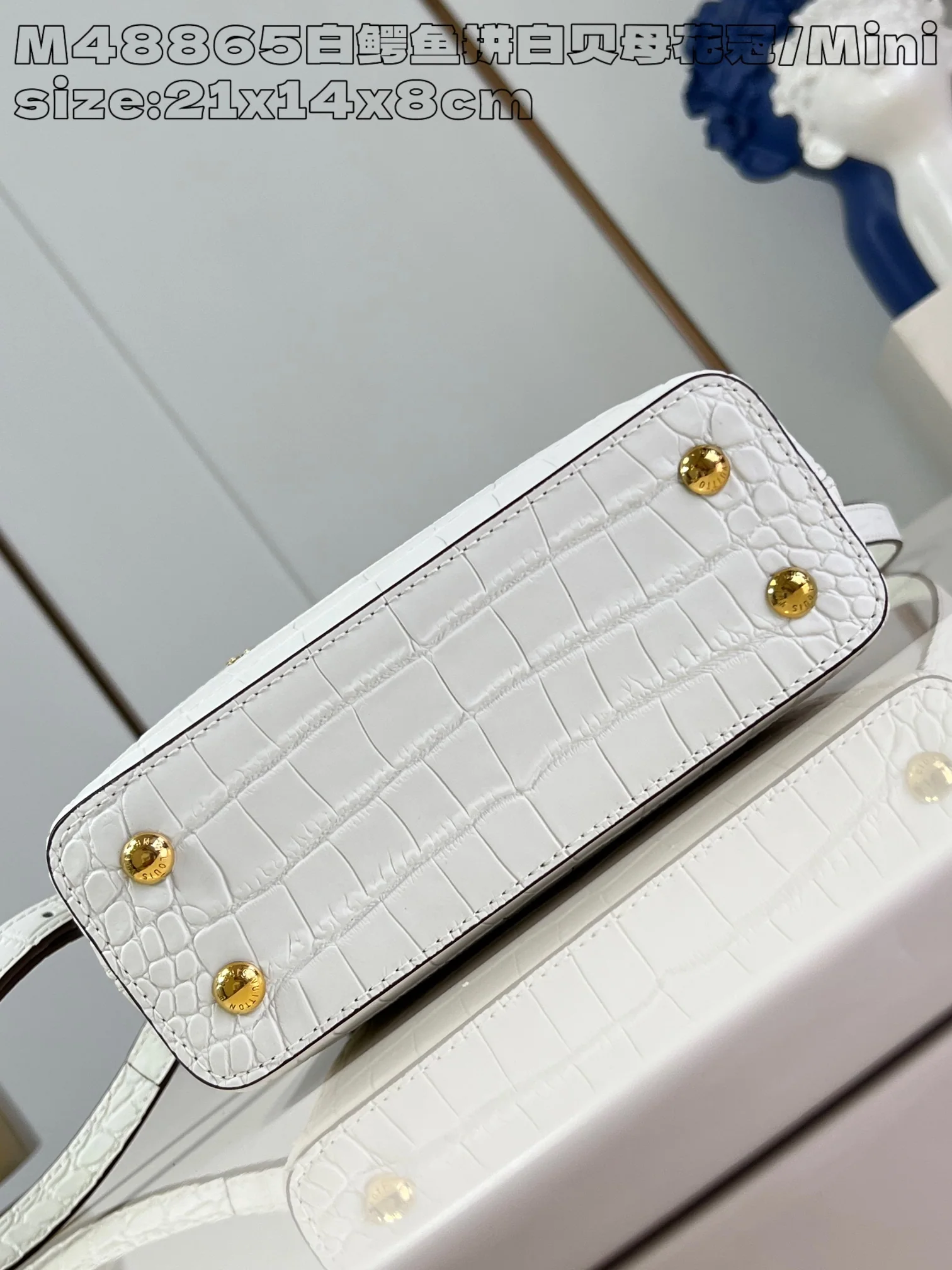루이비통 M48865 화이트 카푸신 핸드백 미니 상세 이미지 5