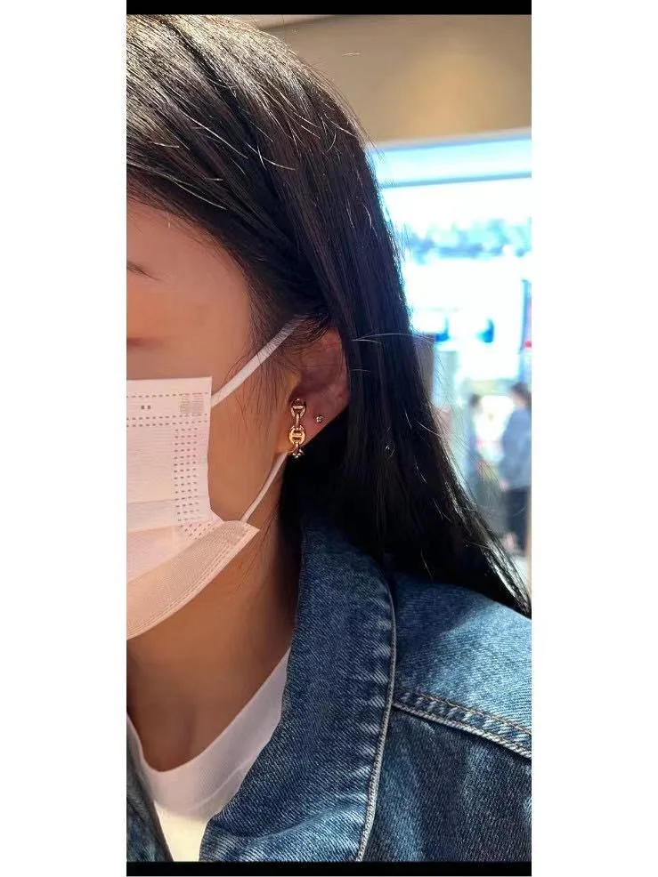 에르메스 피그노즈 귀걸이 상세 이미지 6