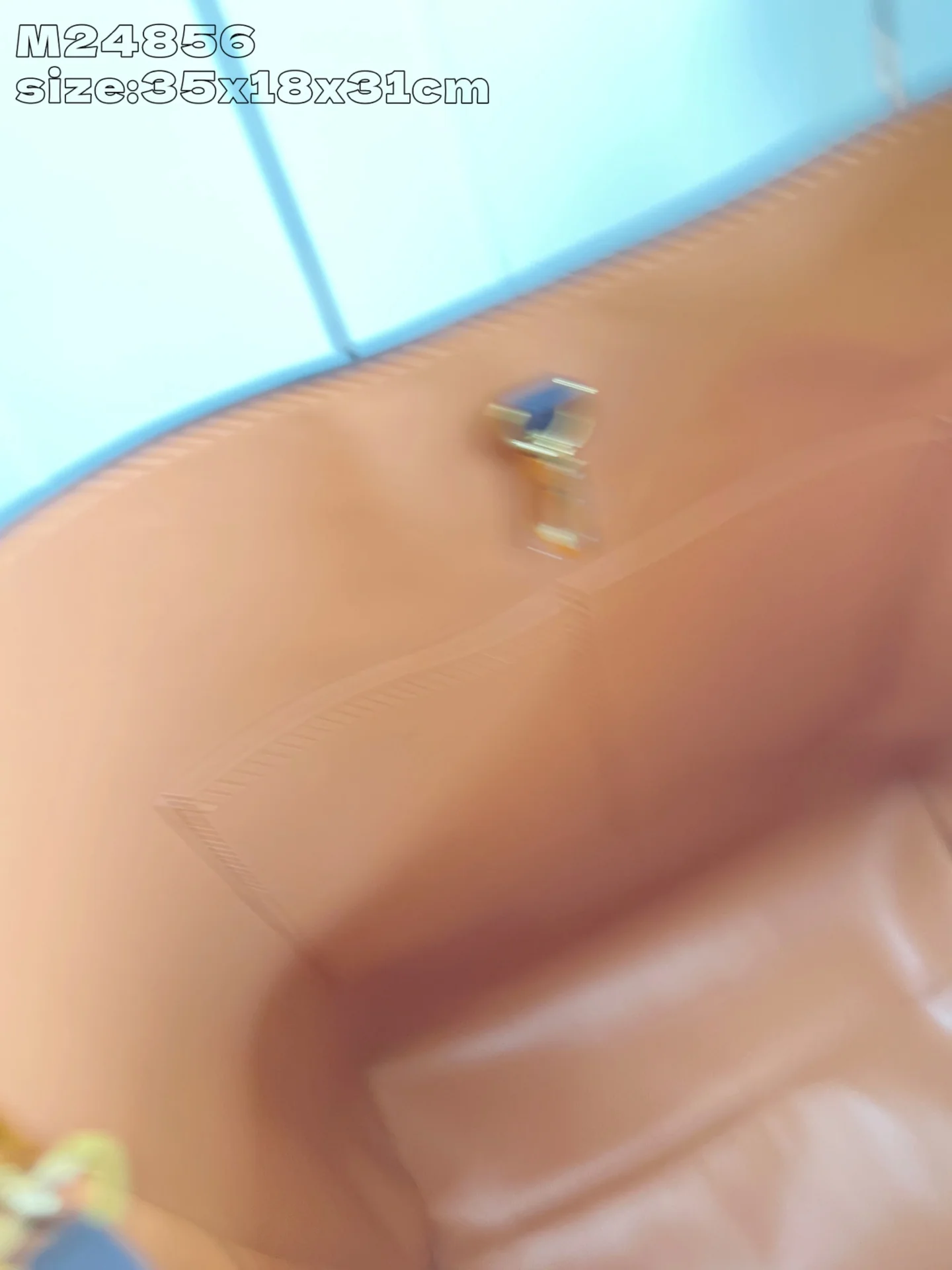 루이비통 브라운 스웨이드 호보백 M24856 상세 이미지 14