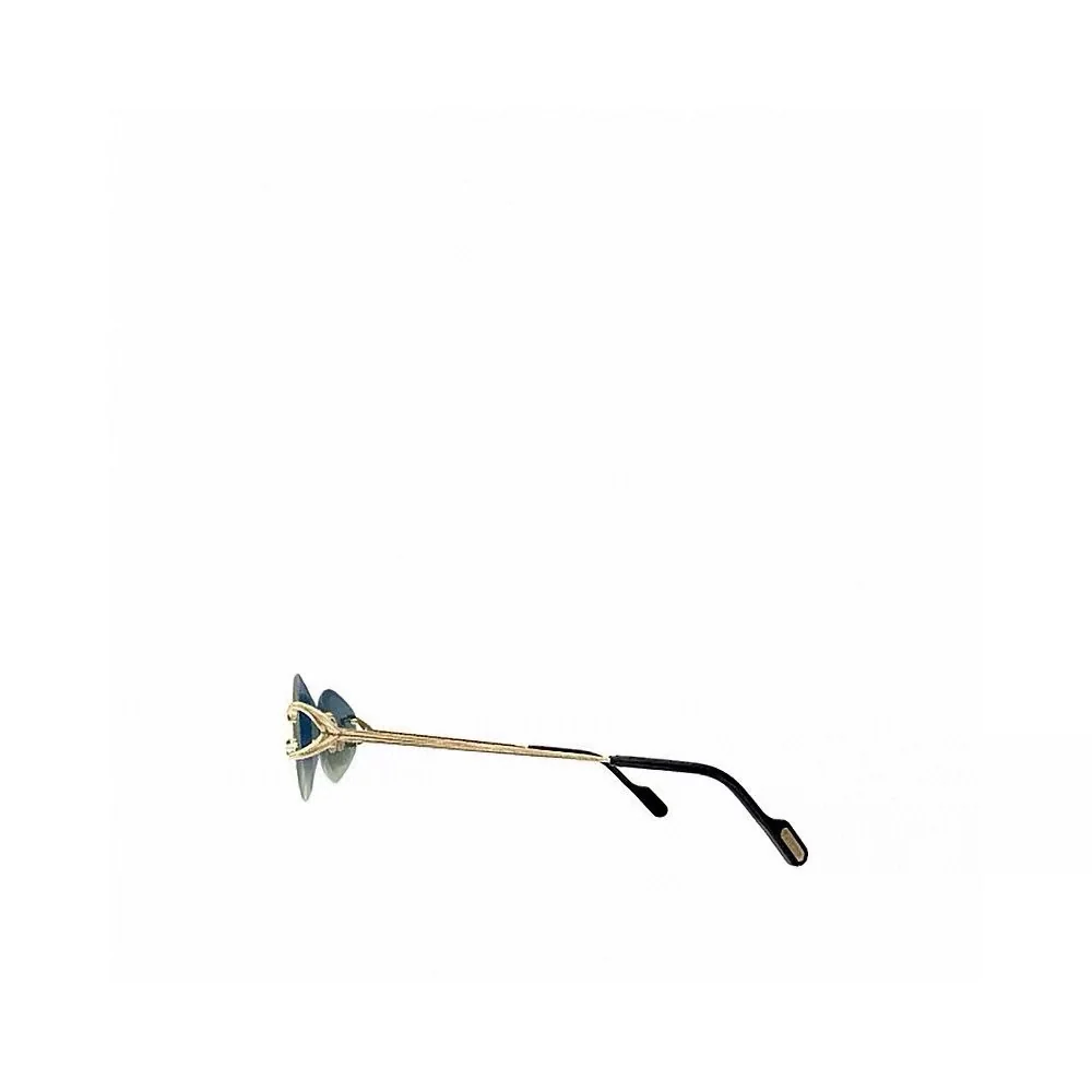 까르띠에 CT0467 S 선글라스 상세 이미지 2