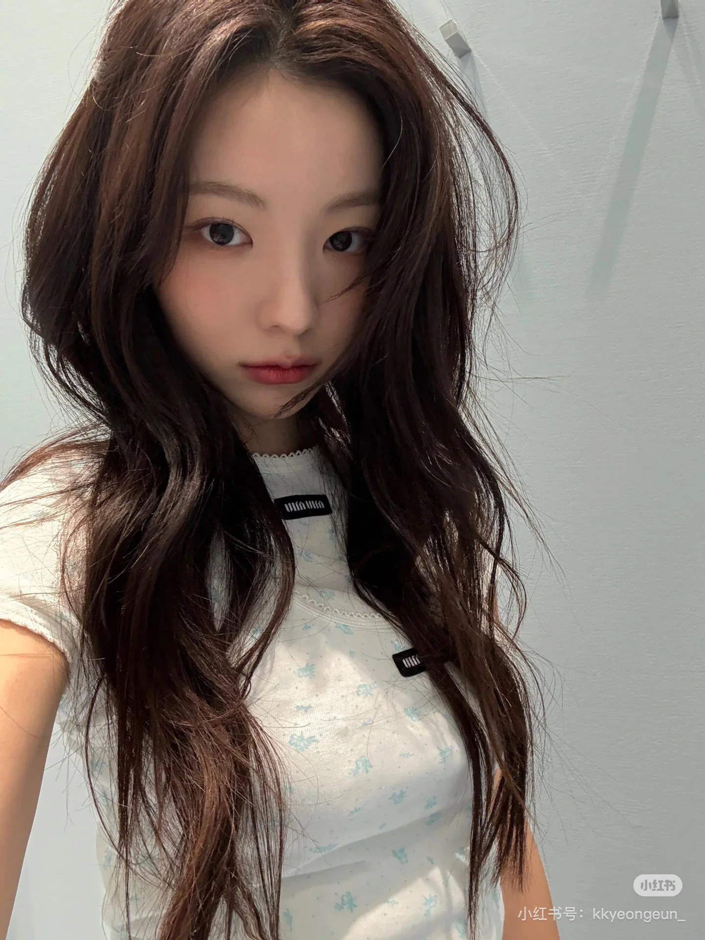 미우미우 마이크로 로고 플라워 프린트 반팔 티셔츠 26 FW 상세 이미지 7