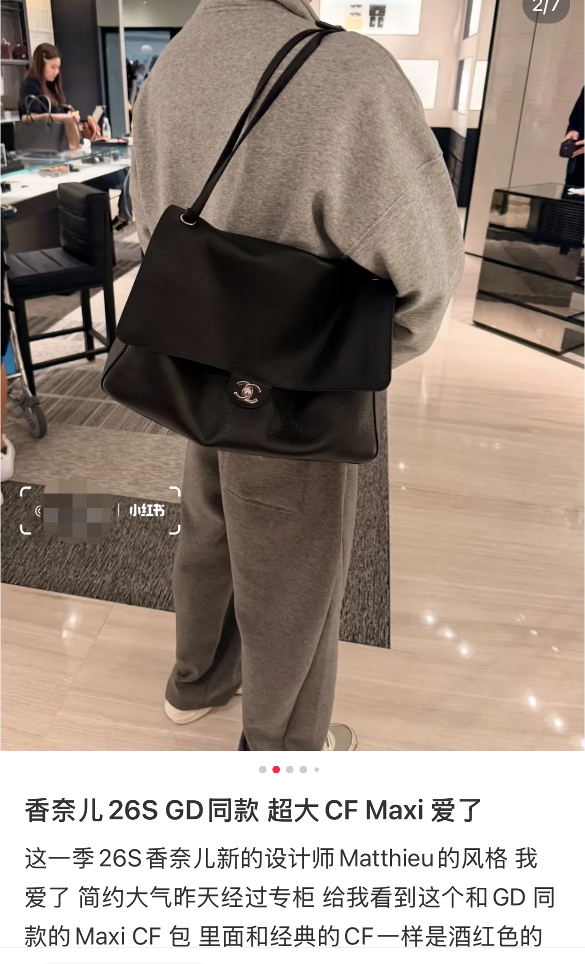샤넬(팬더) 191602 가방 Chanel Bag 상세 이미지 3