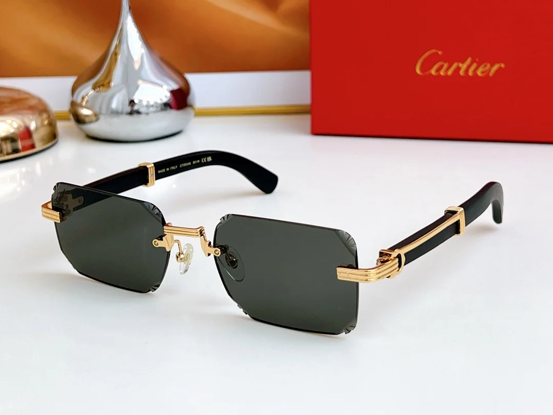 까르띠에 선글라스 72373 Cartier Sunglasses 상세 이미지 2