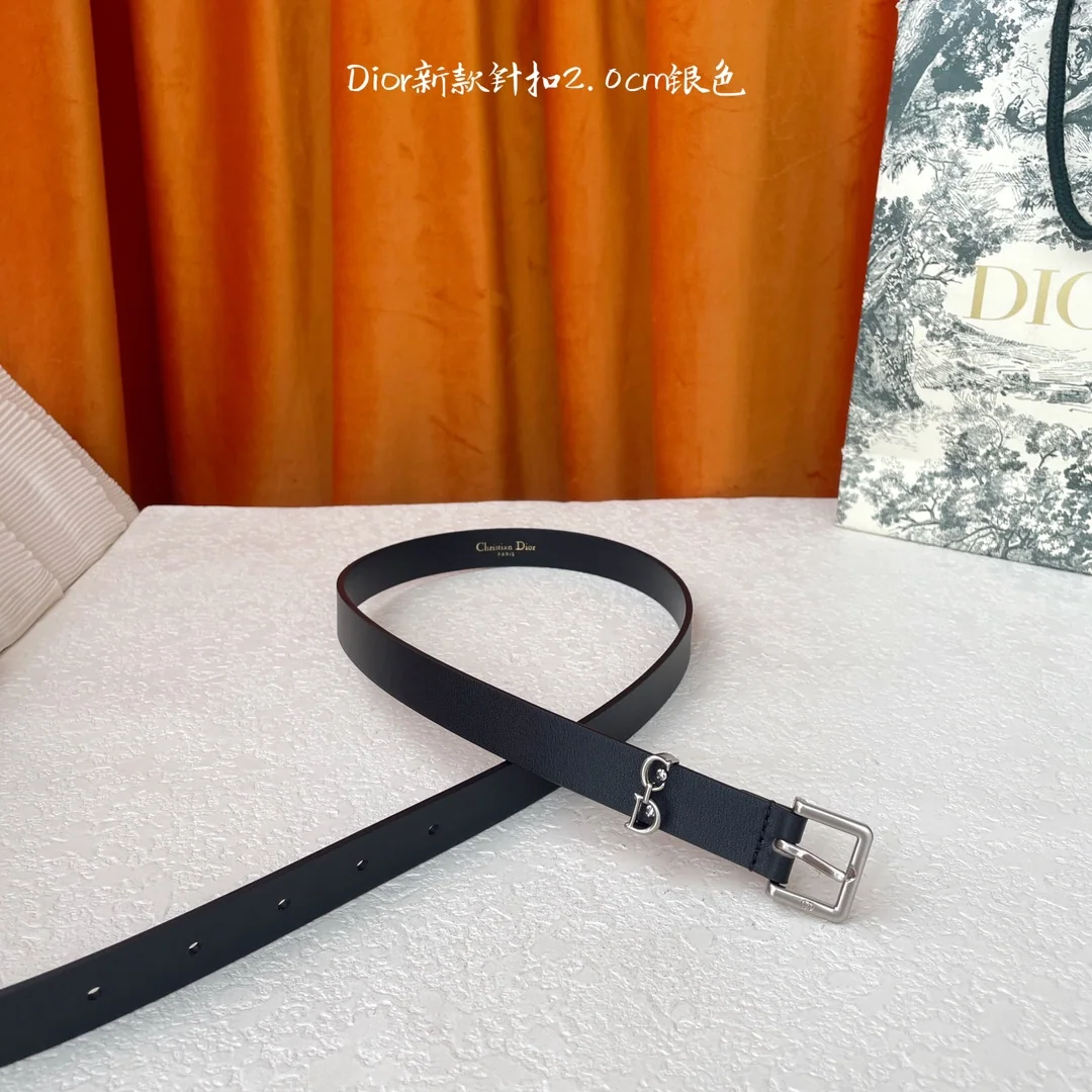 디올 새들 루프 CD 버클 벨트 상세 이미지 3