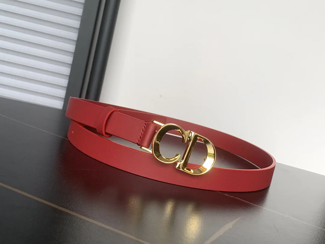 디올 벨트 60064 Dior Belt 상세 이미지 1