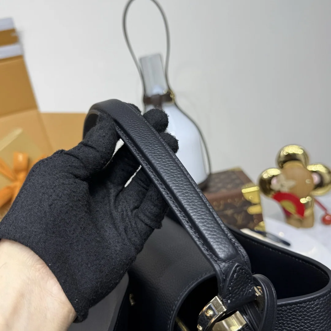 루이비통 버드케이지 카프시뉴 비지오네르 핸드백 M26259 상세 이미지 8