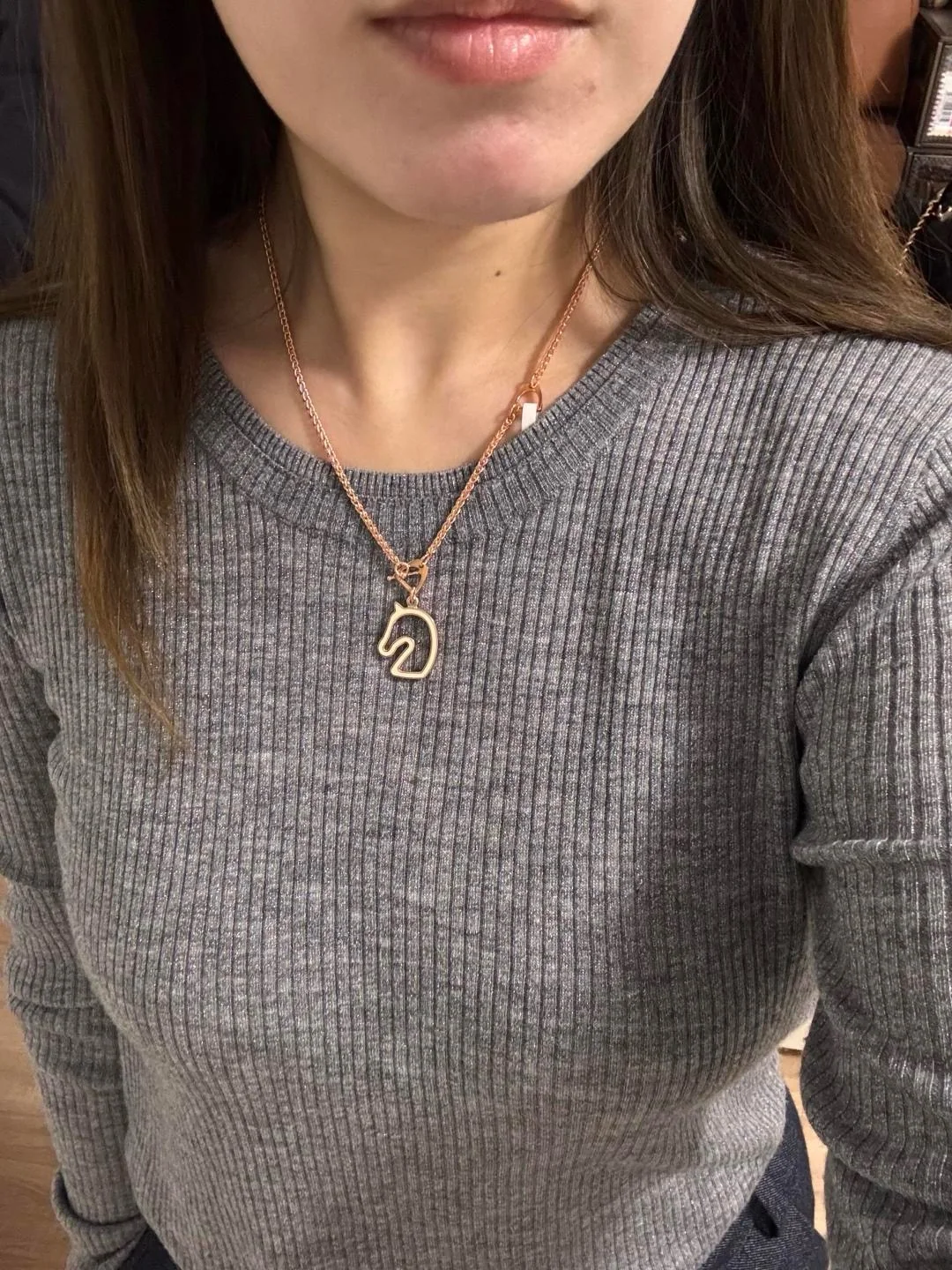 에르메스 토네르 컬렉션 에나멜 펀칭 목걸이 상세 이미지 10