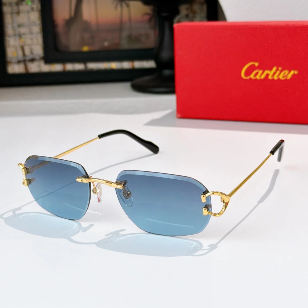 까르띠에 선글라스 72160 Cartier Sunglasses 상세 이미지 5