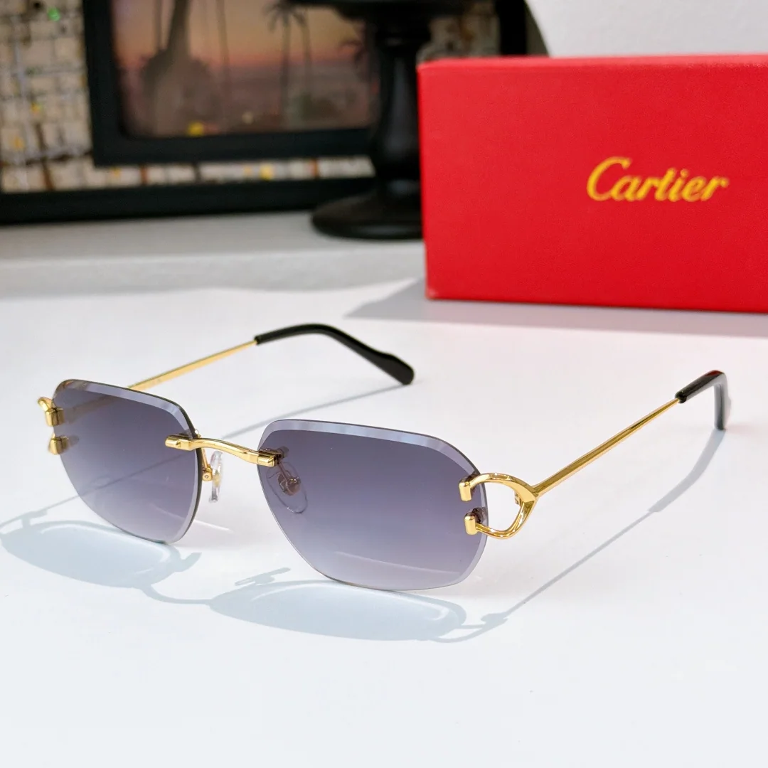 까르띠에 선글라스 72160 Cartier Sunglasses 상세 이미지 4
