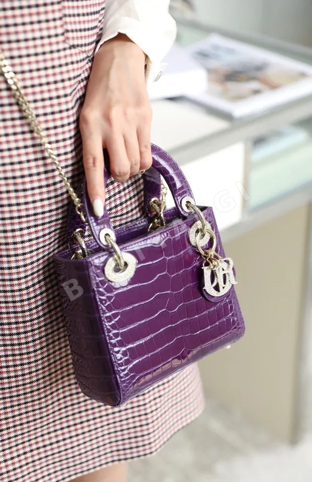 디올 165290 가방 Dior Bag