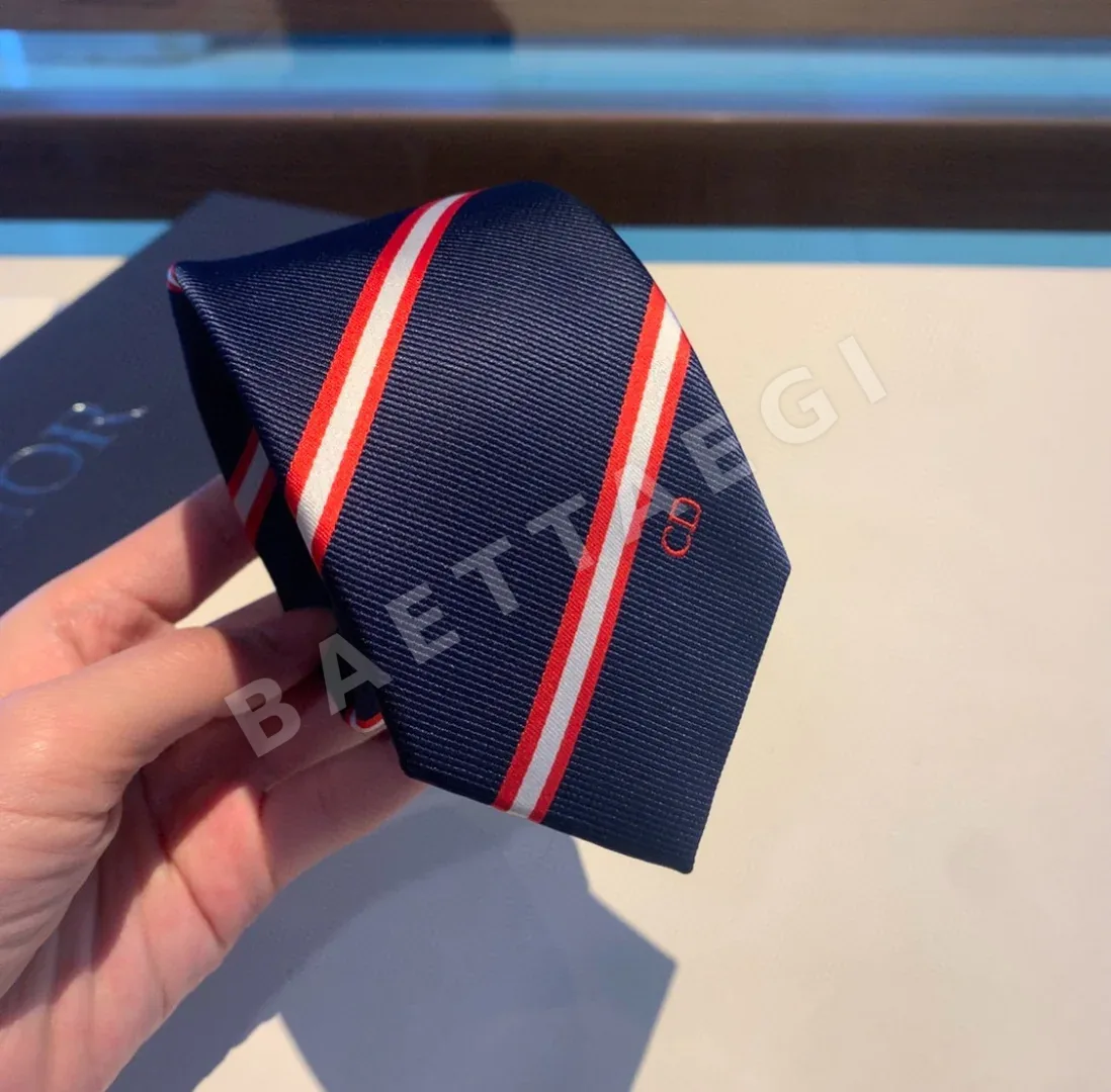 디올 CD 자수 로고 넥타이 상세 이미지 2
