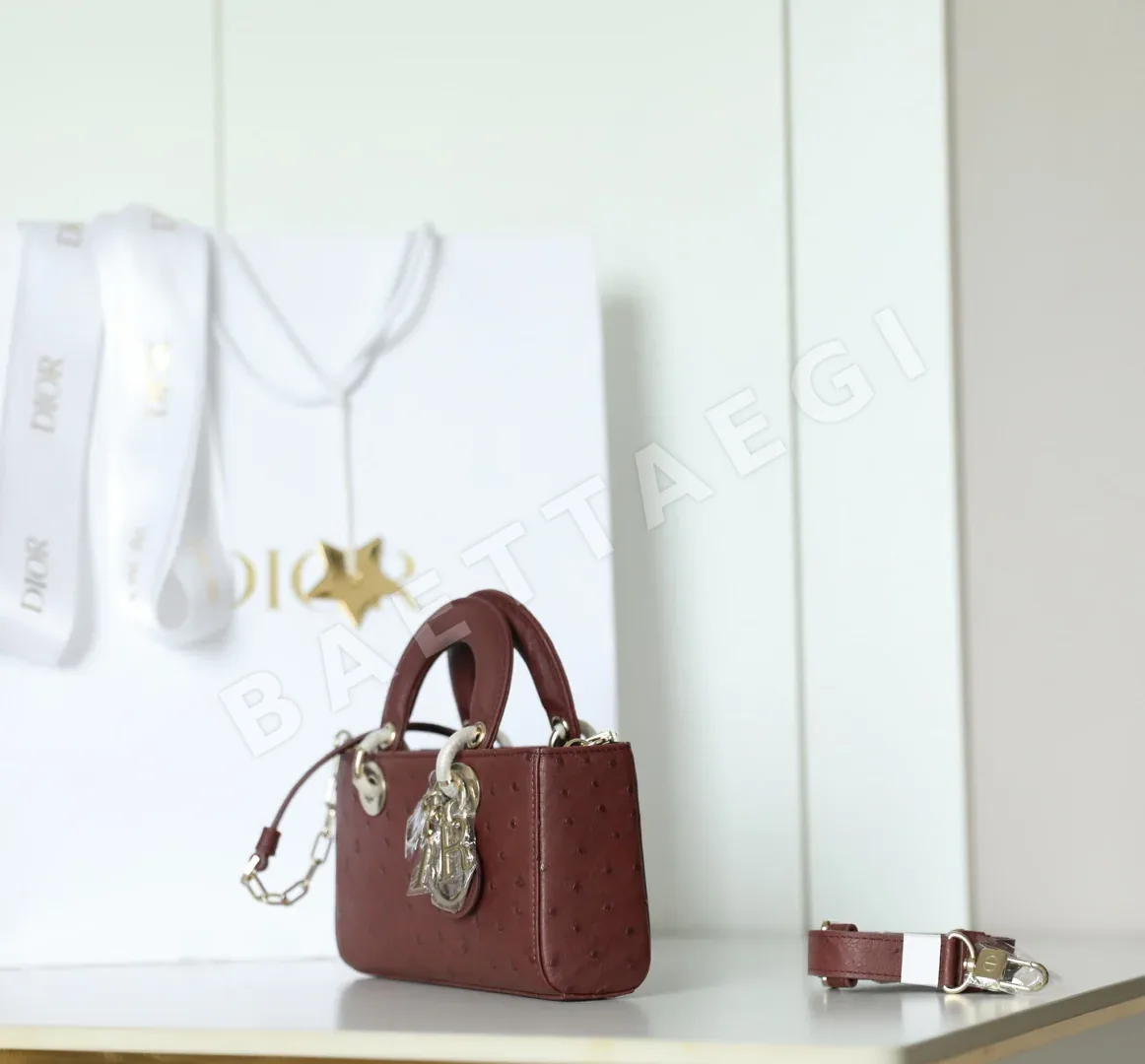 디올 165245 가방 Dior Bag 상세 이미지 5
