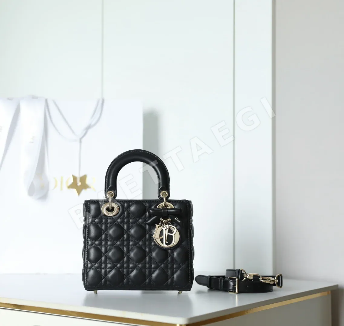 디올 165246 가방 Dior Bag