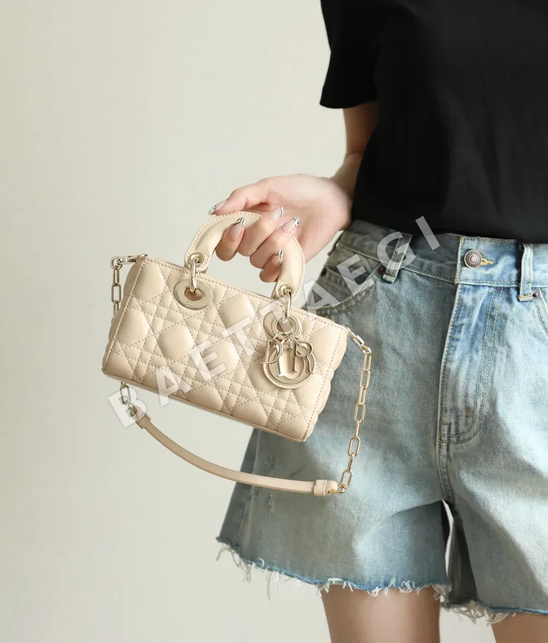 디올 165324 가방 Dior Bag 상세 이미지 8