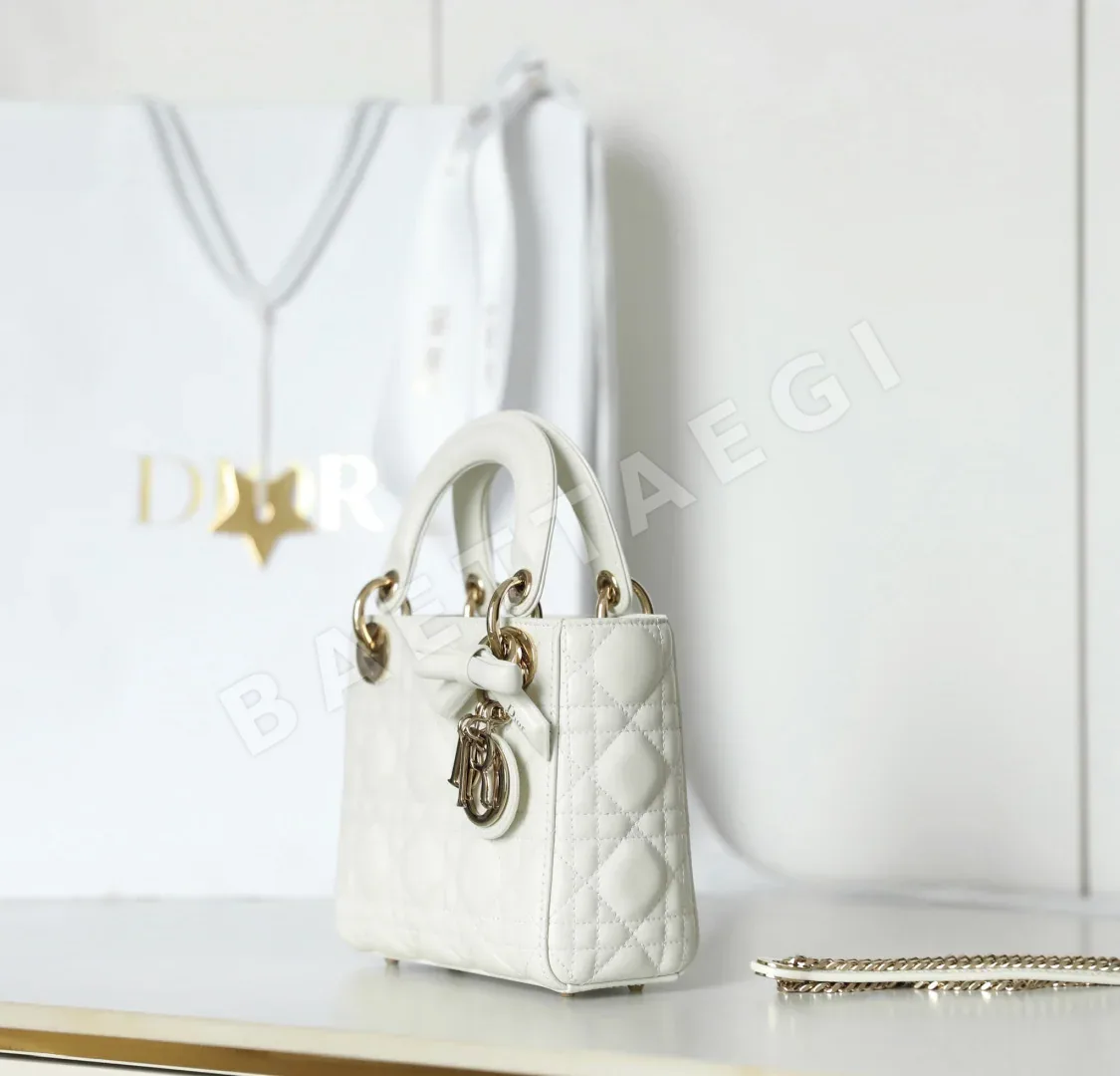 디올 165256 가방 Dior Bag 상세 이미지 5