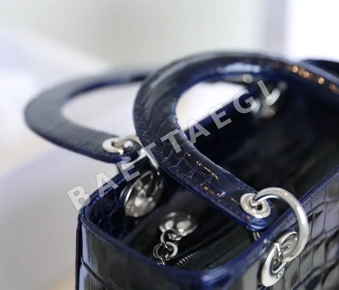 디올 165410 가방 Dior Bag 상세 이미지 6