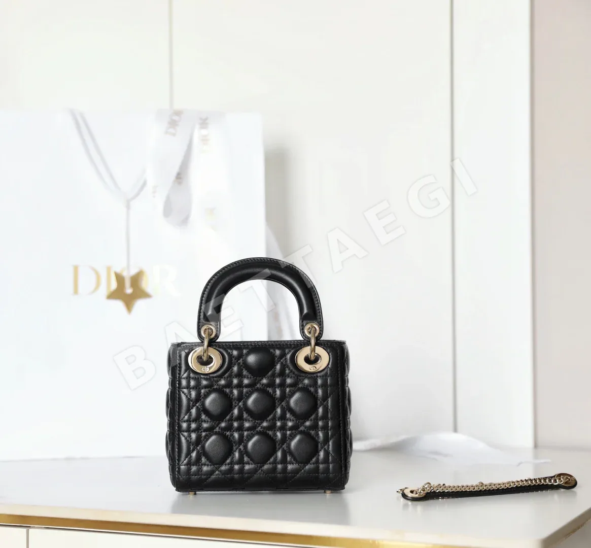디올 165257 가방 Dior Bag 상세 이미지 6