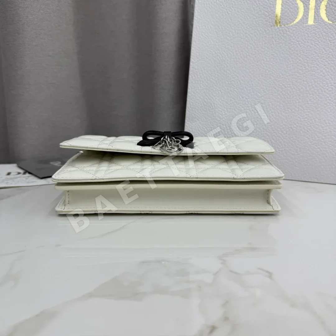 디올 마이 워크 미니 램스킨 체인 가방 상세 이미지 6