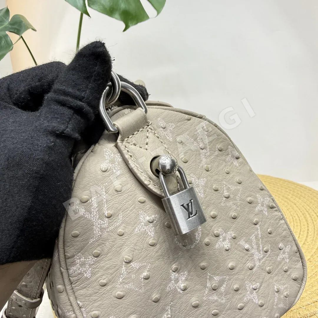 루이비통 버드케이지 가방 M24424 상세 이미지 9
