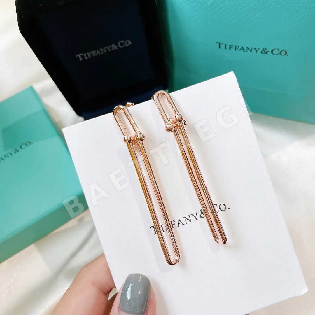 티파니 귀걸이 70985 Tiffany & Co Earrings 상세 이미지 3