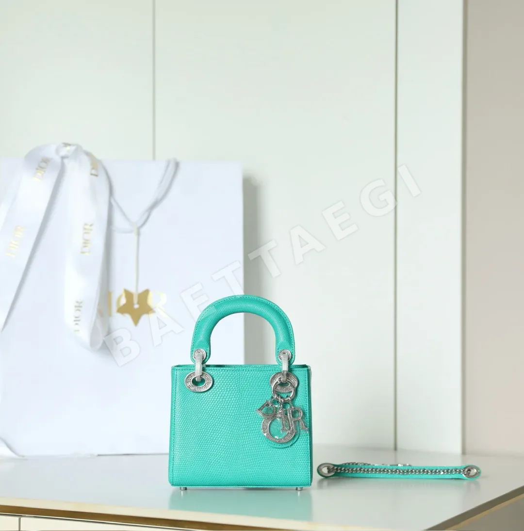 디올 165244 가방 Dior Bag