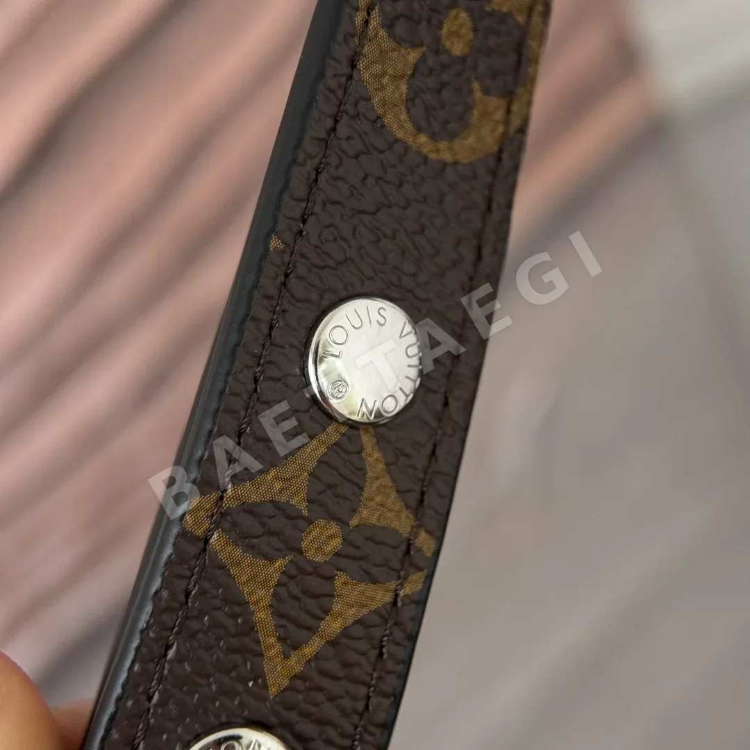 루이비통 모노그램 캐리올 가방 M28160 상세 이미지 4