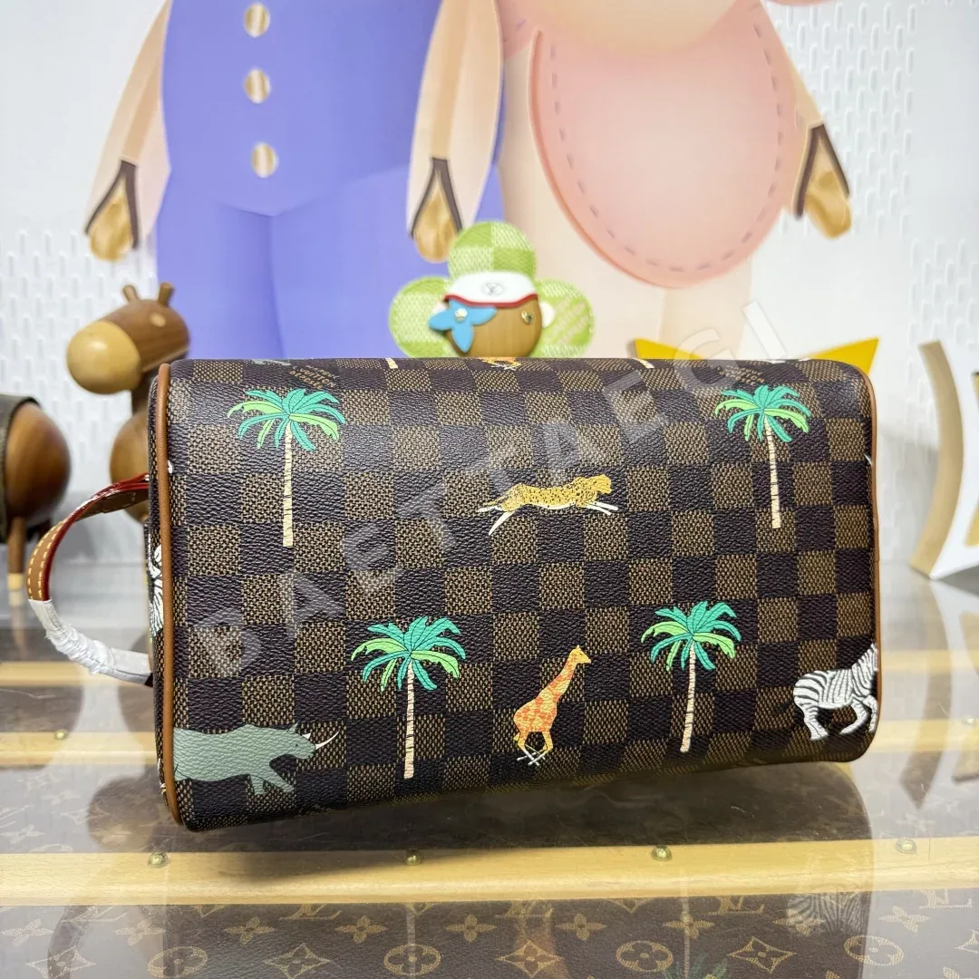 루이비통 다미에 에베느 버드케이지 트래블 백 N40889 상세 이미지 4