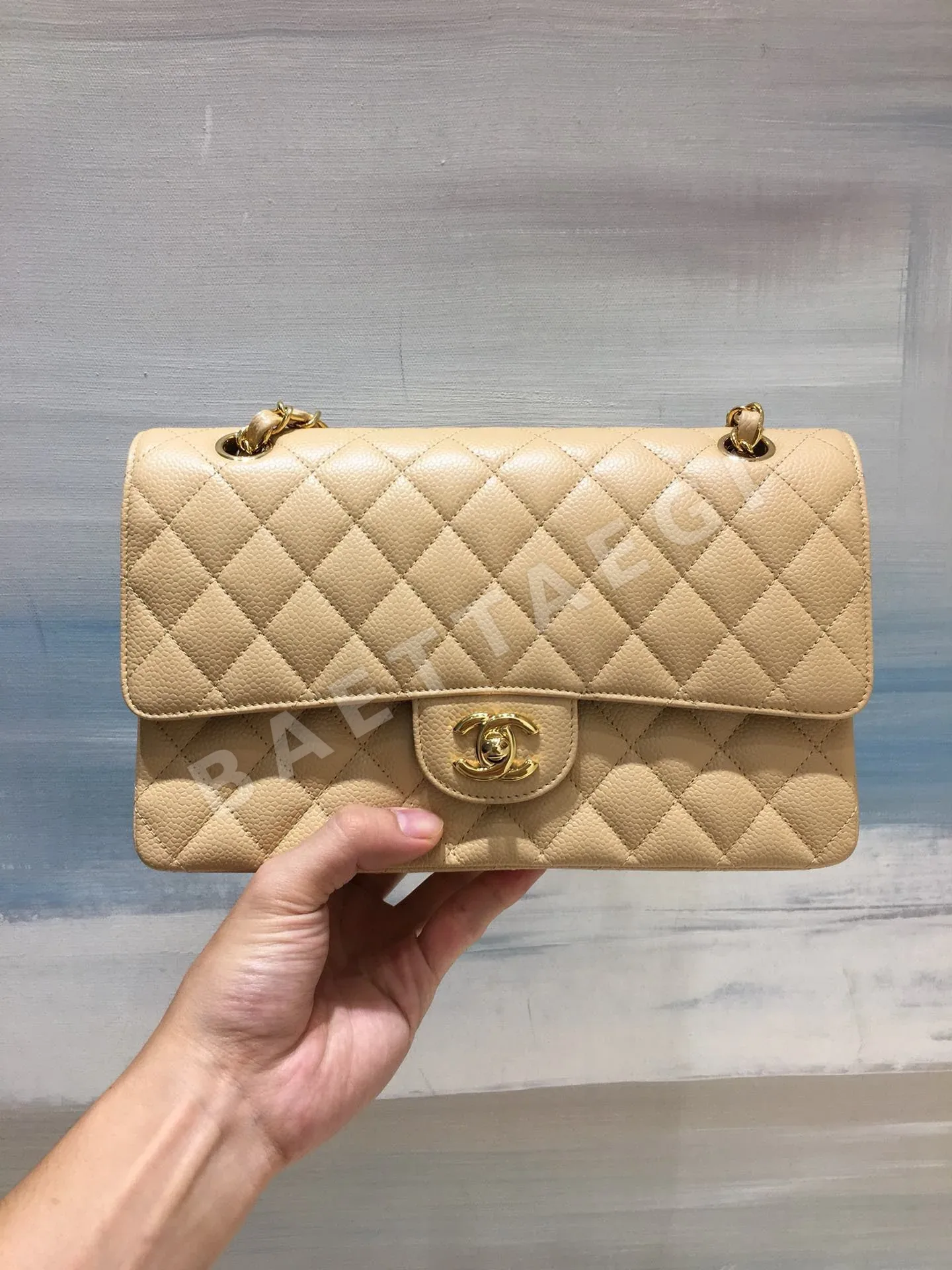 샤넬 가방 136361