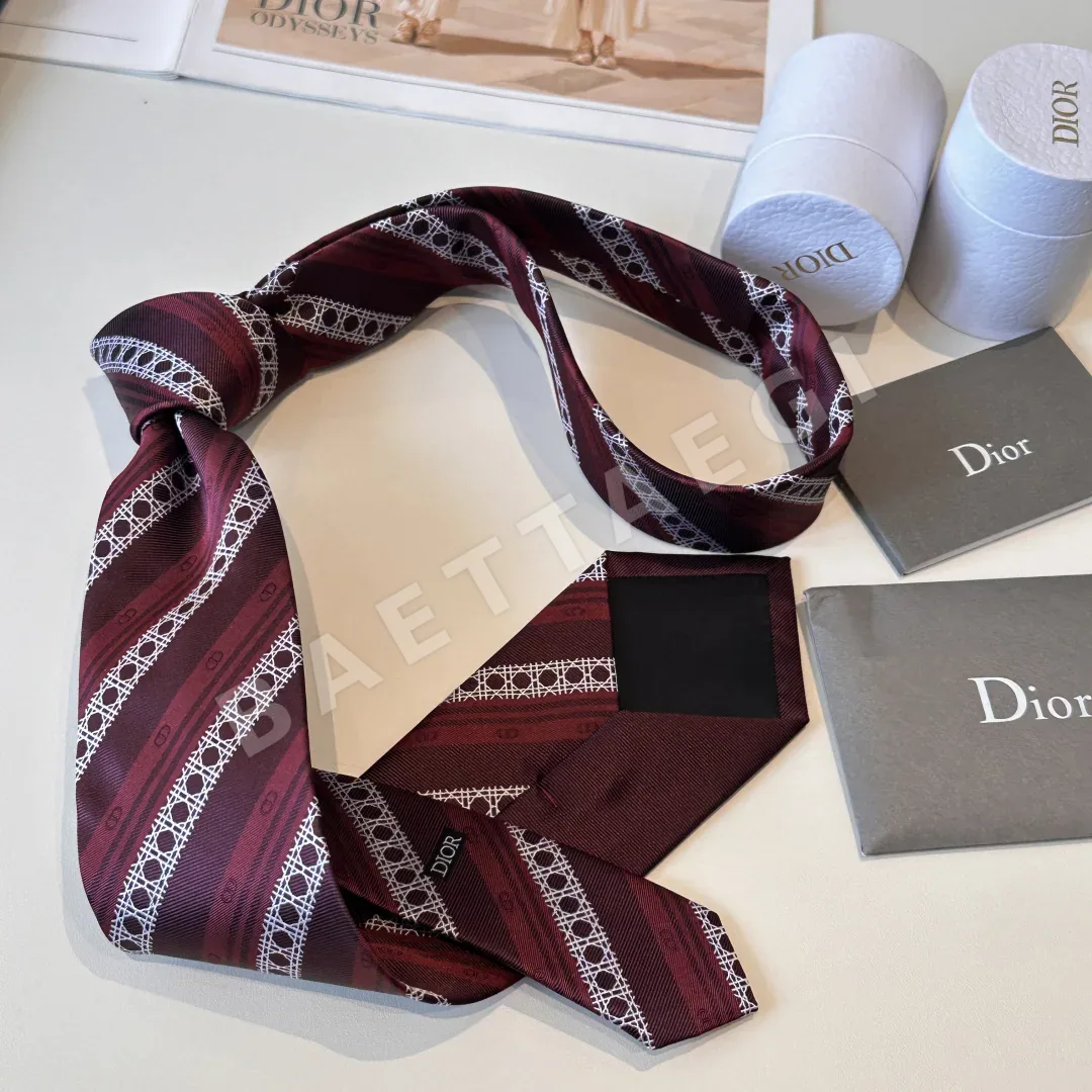 디올 넥타이 89826 Dior Accessories 상세 이미지 9