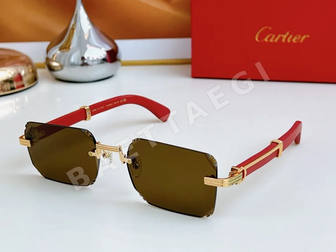 까르띠에 선글라스 72373 Cartier Sunglasses 상세 이미지 5
