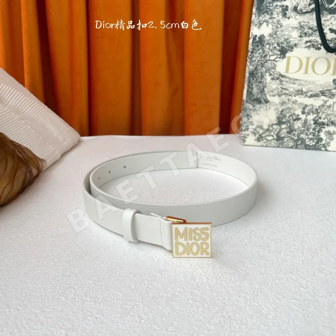 디올 벨트 59793 Dior Belt 상세 이미지 2
