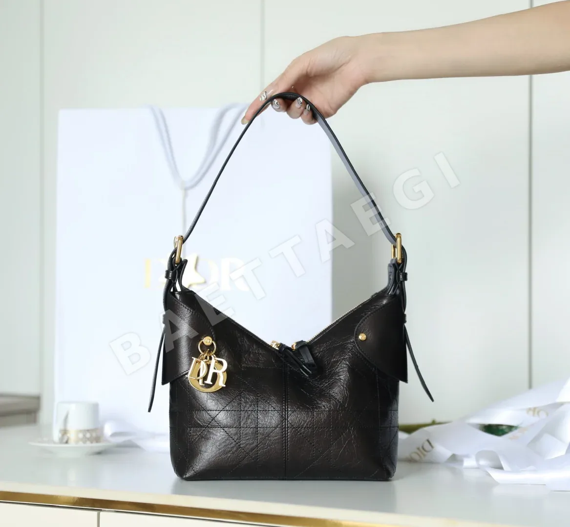 디올 165276 가방 Dior Bag