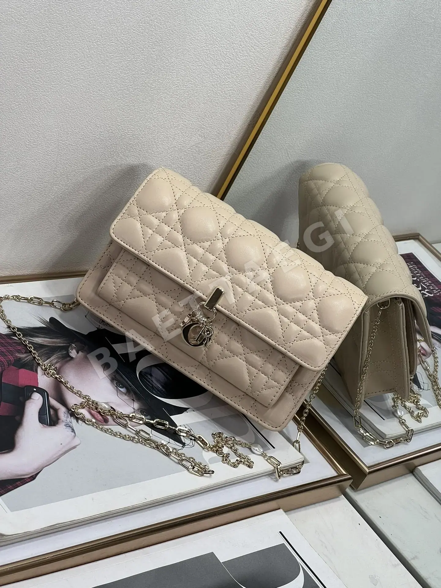 디올 레디 체인 WOC 램스킨 가방 상세 이미지 2
