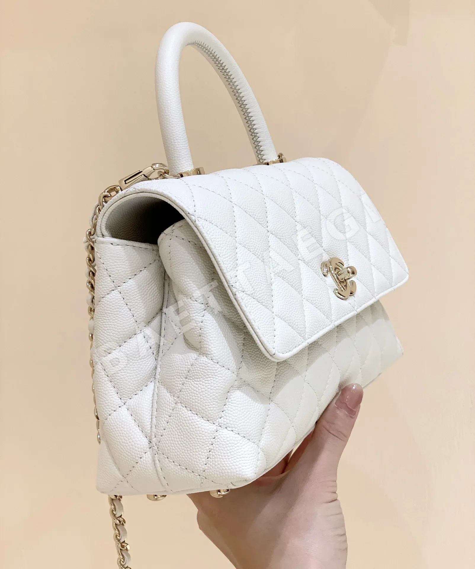 샤넬 가방 A92993 상세 이미지 5