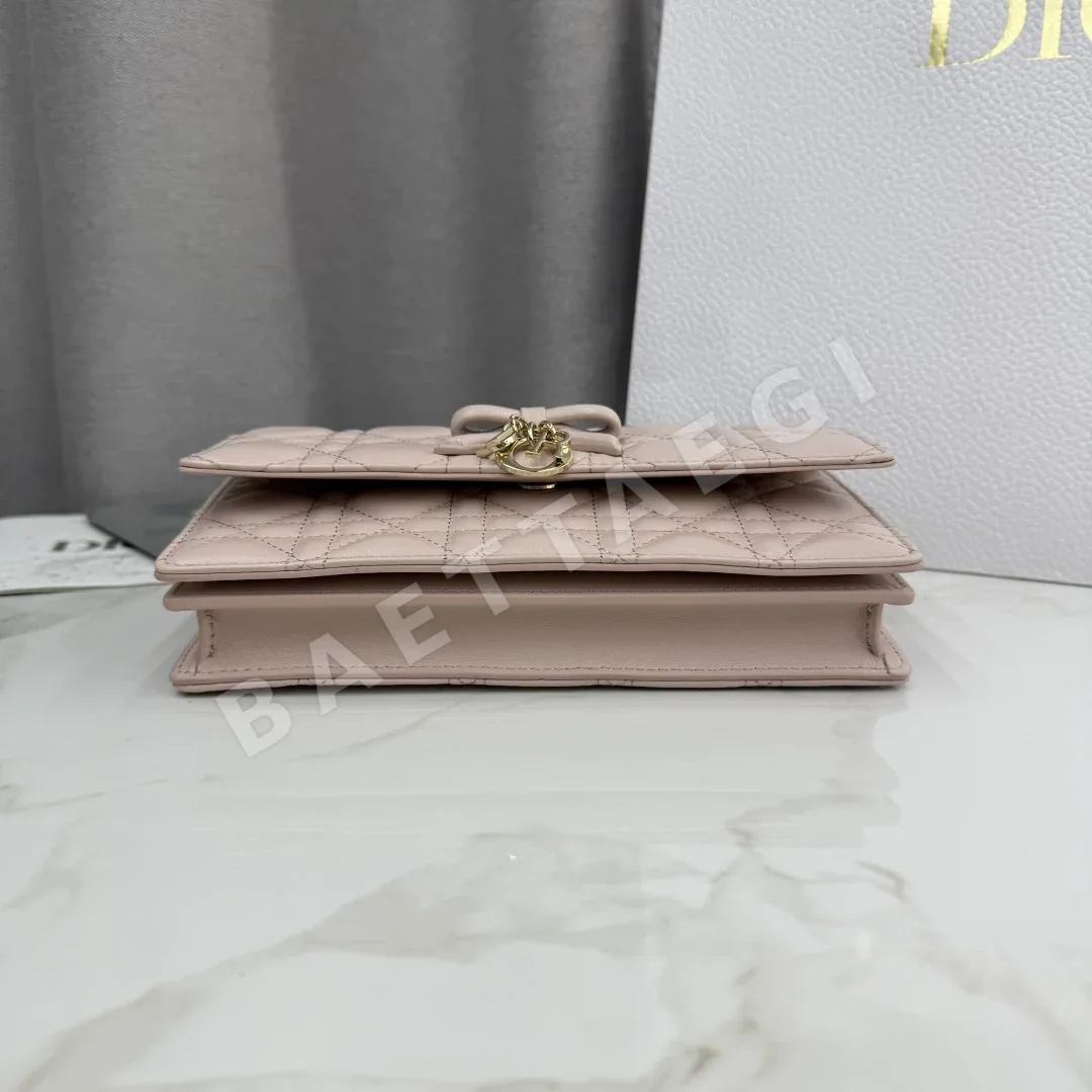 디올 마이 워크 미니 체인 가방 상세 이미지 6