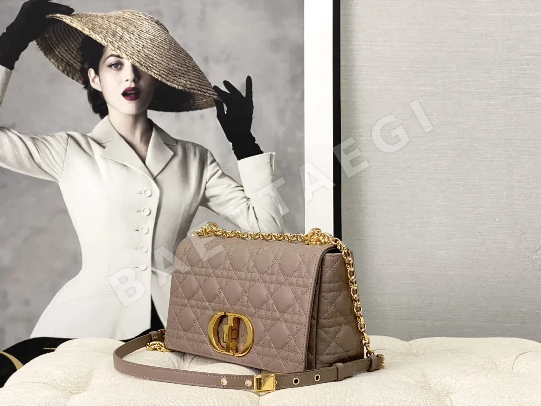 디올 카로 스몰 가죽 숄더백 상세 이미지 2