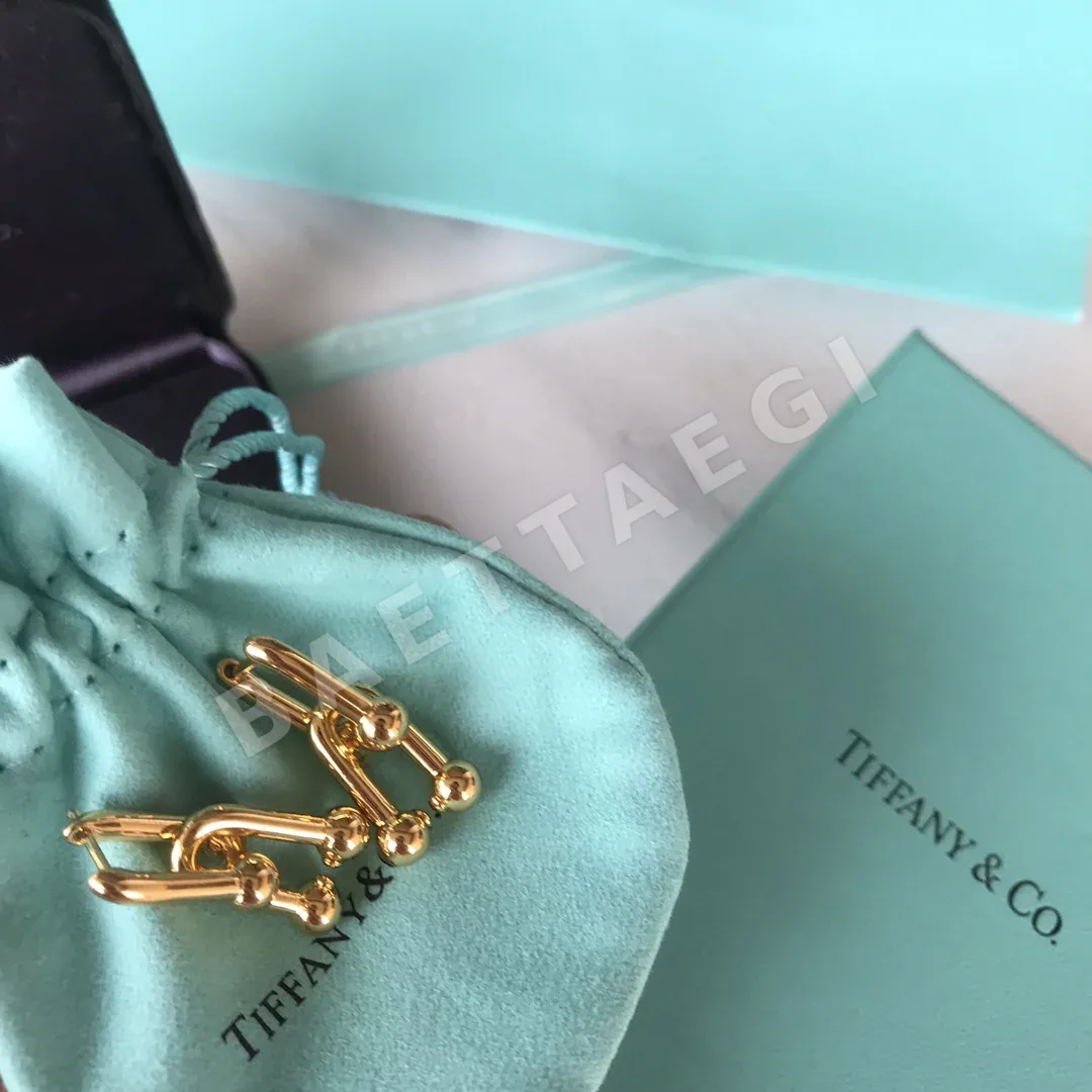 티파니 귀걸이 70825 Tiffany & Co Earrings 상세 이미지 4