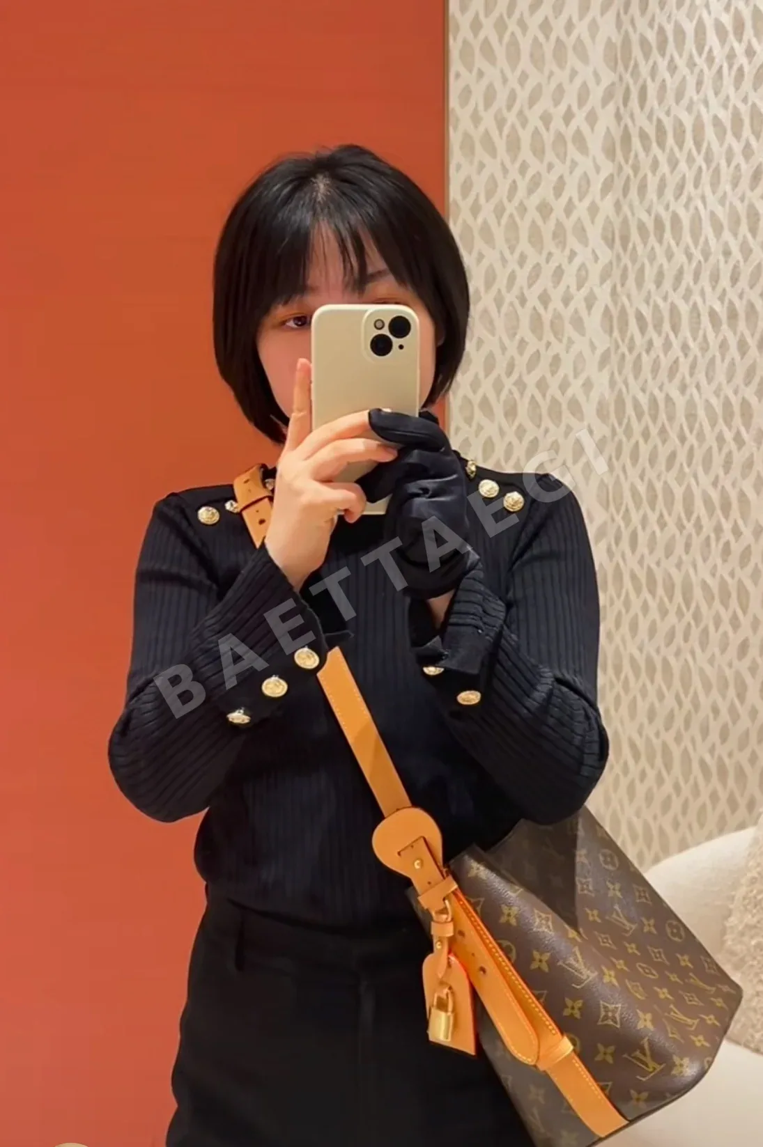 루이비통 버드케이지 가방 상세 이미지 9
