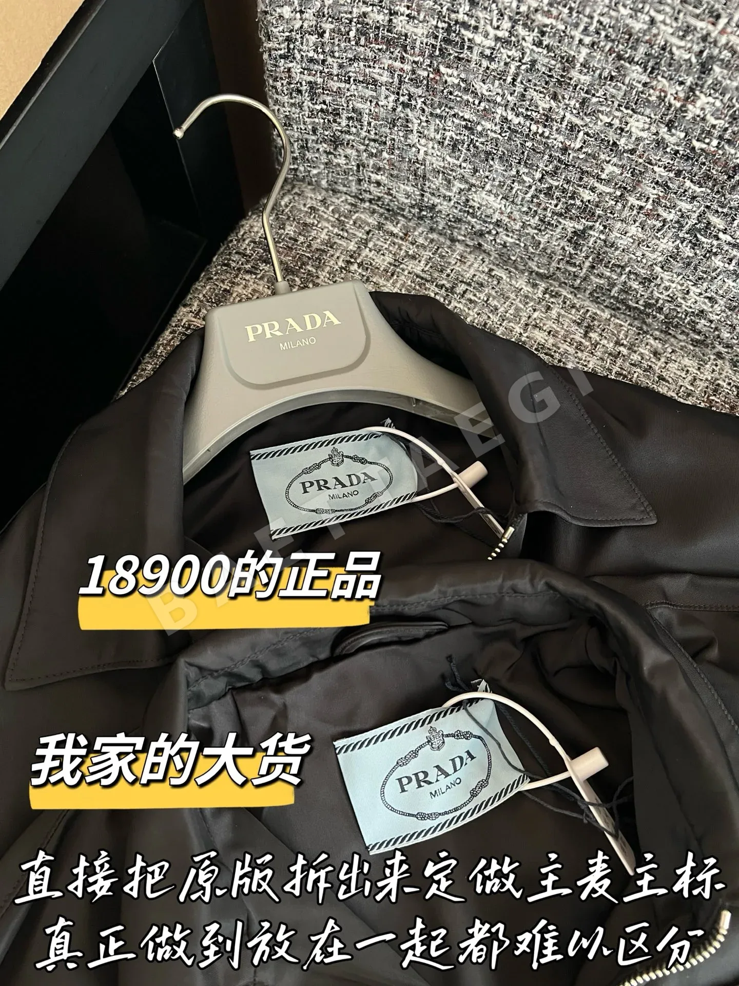 프라다 카라 여성 자켓 상세 이미지 3